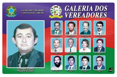 Vereadores Constituintes 1989